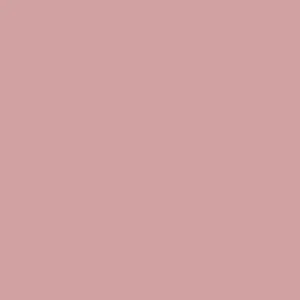 Allison Dusty Rose Velvet Leotard RTW