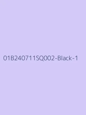 LBLSPU-01B240711SQ002