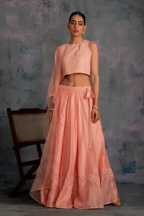Swarovski Peach Chanderi Lehenga - Set of 3