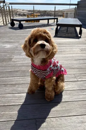 Vibrant Leopard Dog Sweater (Knit)